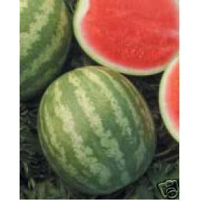 Watermelon- Red Round Seedless-Per Melon