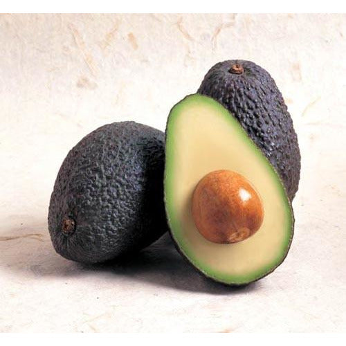 Avocado Whole