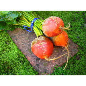 Beets Golden-2lb Bag