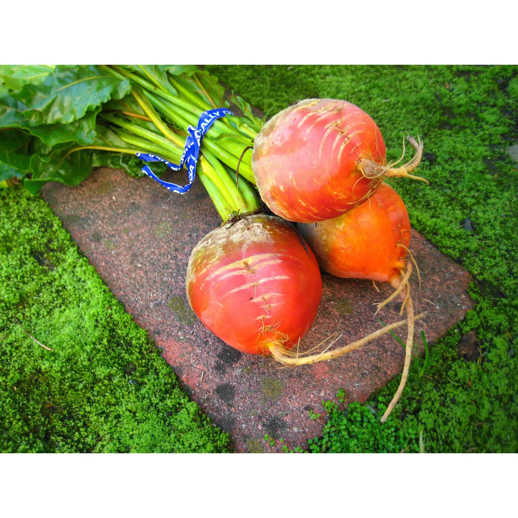 Beets Golden-2lb Bag