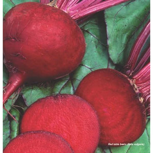 Beets Red- 2lb Bag