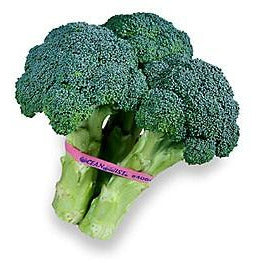 Broccoli-2 Bunches