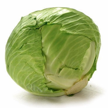 Cabbage GREEN- Per Head