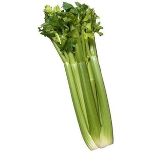 Celery- Per Bunch