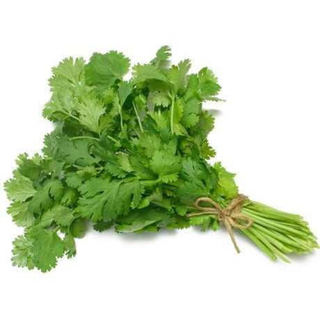 Cilantro- Per Bunch