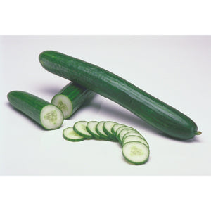 Cucumber Seedless Long- Per Piece