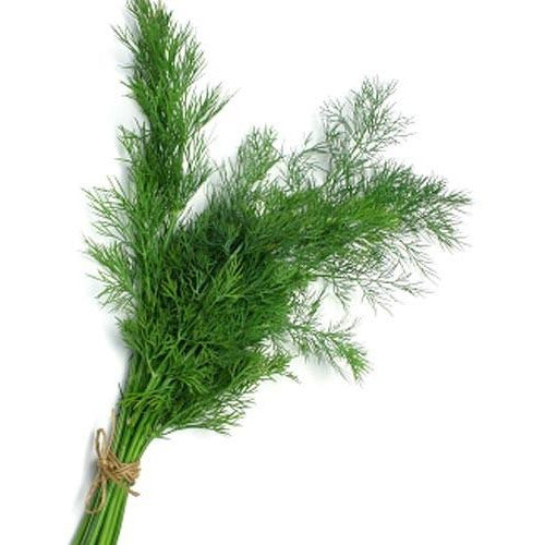 Dill- Per Bunch