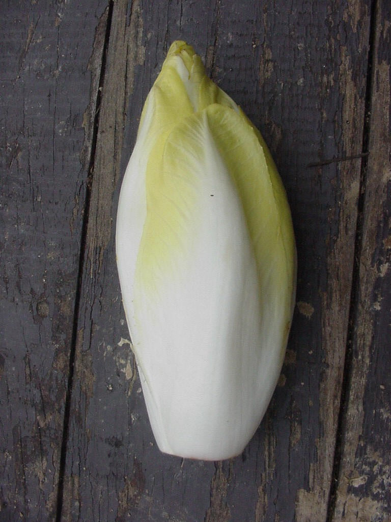 Endive Per Piece