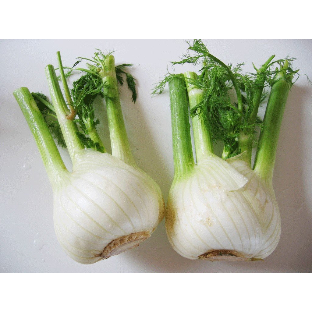 Fennel- Per Piece