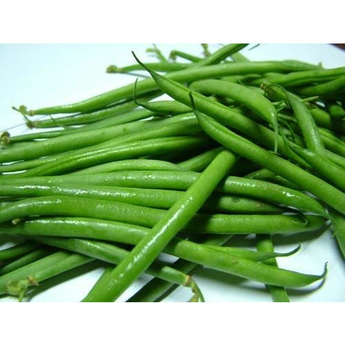 French Beans-5lb Bag