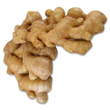Ginger Root- Fresh 1lb.