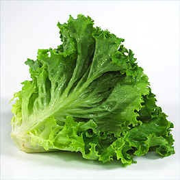 Greenleaf Lettuce-Per Bunch