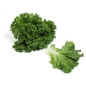 Greenleaf Lettuce-Per Bunch