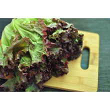 Load image into Gallery viewer, Redleaf Lettuce-Per Head

