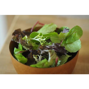 Mesclun Spring Mix Baby Greens -3lbs CASE
