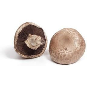 Mushroom Portabello-2 Pieces