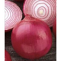 Onion Red- Jumbo Sized-3lbs
