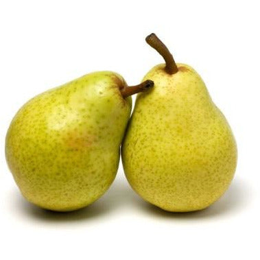 Pear Green Danjo- 6 Pieces