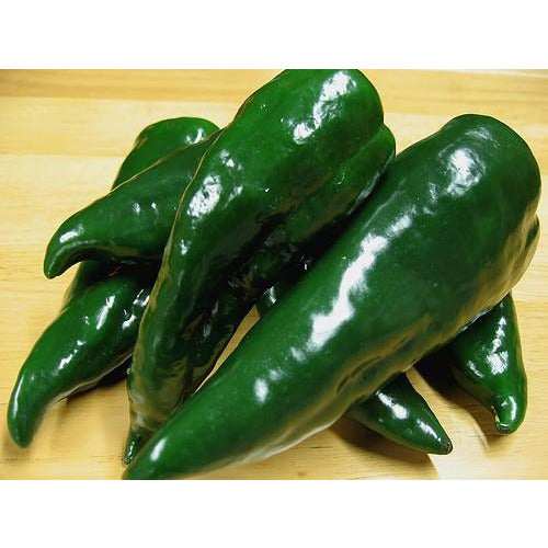 Peppers Poblano- 1lb