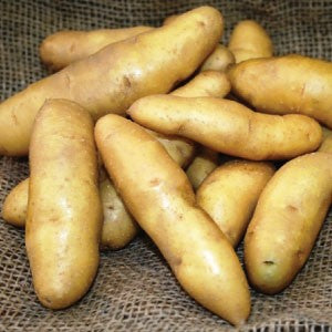 Potato-Fingerling White- 2lbs.