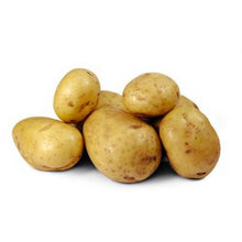 Load image into Gallery viewer, Potato Yukon- Medium Sized- 5lbs
