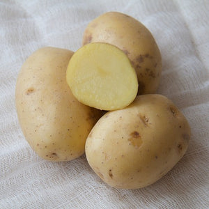 Potato Yukon- Medium Sized- 5lbs