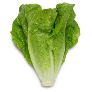 Romaine lettuce whole head