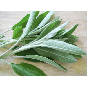 Sage- Per Bunch