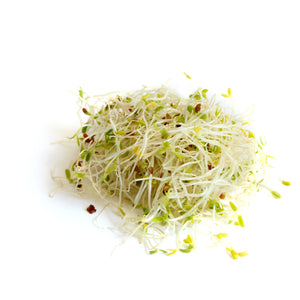 Sprouts Alfalfa- Per Pint