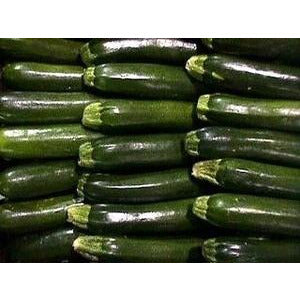 Squash Zucchini-Green-2lbs