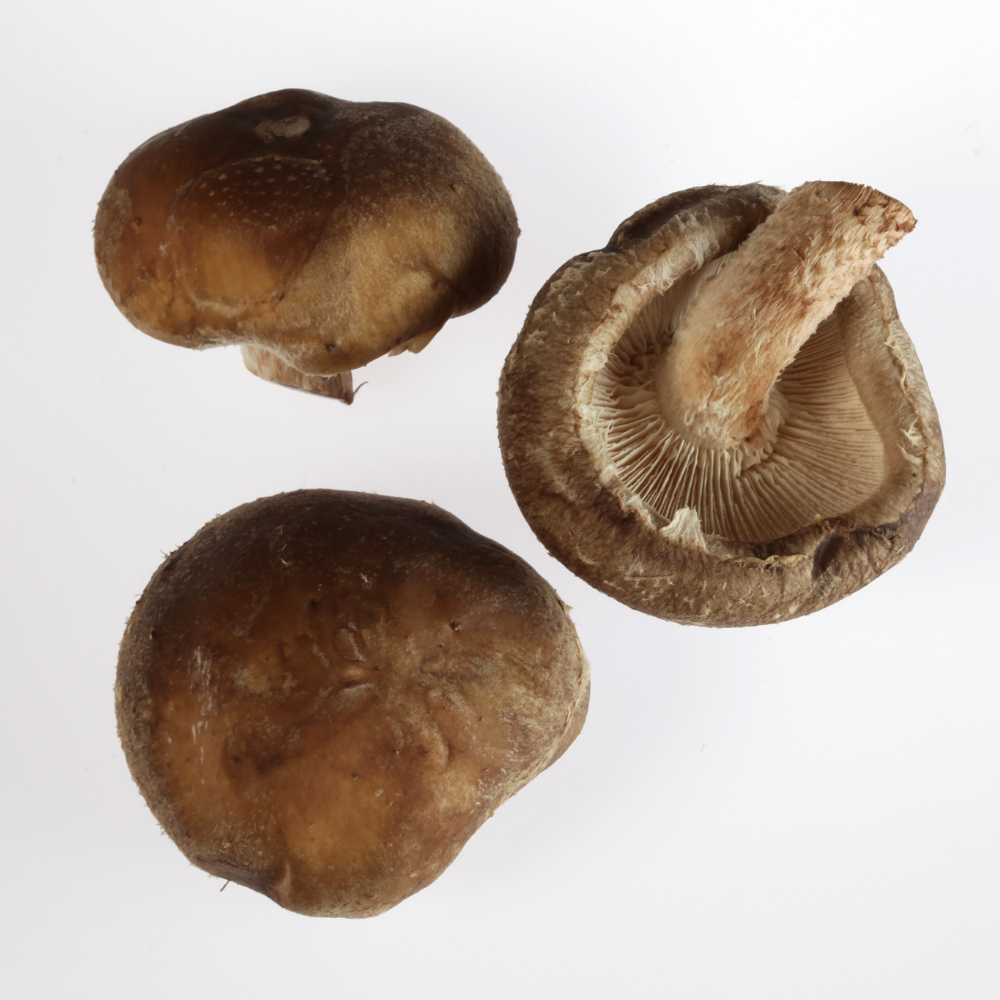 Mushrooms Shitake-3.5oz per Pack