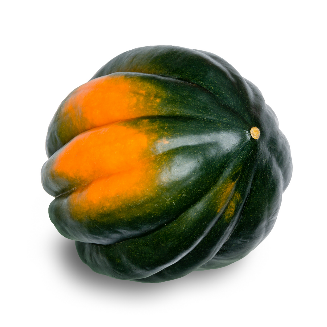Squash ACORN Per Piece