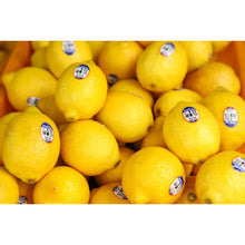 Load image into Gallery viewer, Lemons-Medium Sized-6 Pieces
