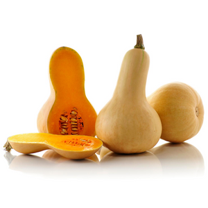Squash Butternut