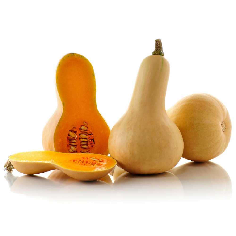 Squash Butternut