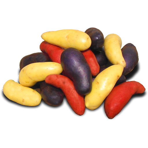 Potato-Fingerling Mixed Color- 2lbs.
